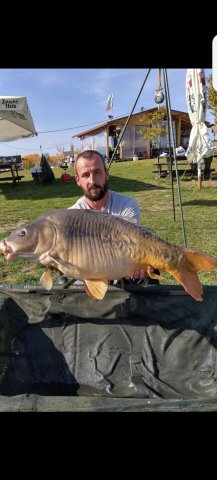 IMG-01c01fe8d46ca665900f343fb0cf2808-V